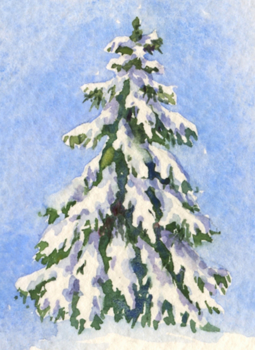 510x700 Everyday Artist How To Paint A Snow Covered Evergreen Tree - Painting Evergreen Trees