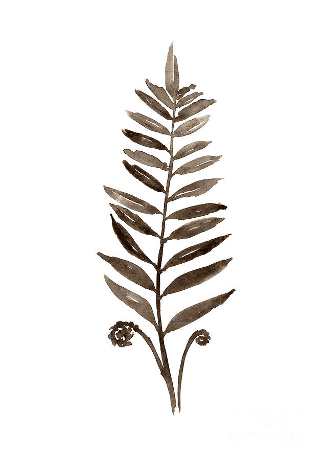636x900 Fern Brown Leavabstract Watercolor Painting Botanical Illustration - Painting Fern