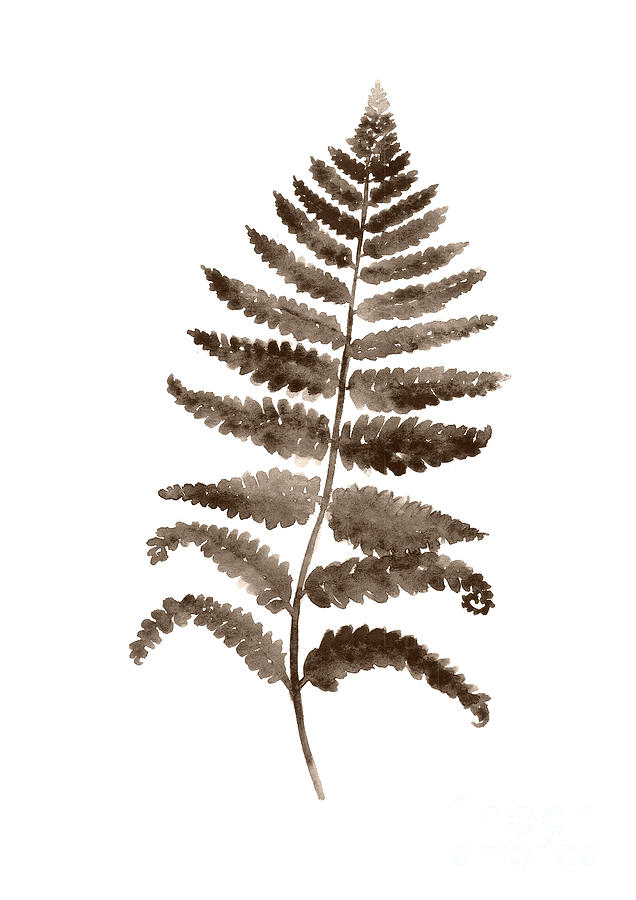 636x900 Fern Leaf Botanical Poster, Brown Wall Decor Modern Home Art Print - Painting Fern