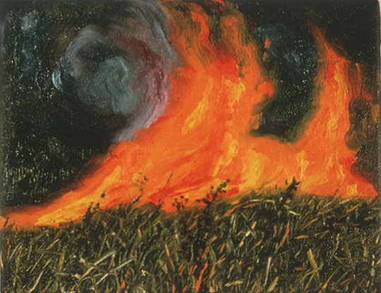 540x416 Forest Fire Paintings By Jennifer Walton - Painting Fire