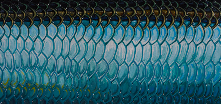 Painting Fish Scales at PaintingValley.com | Explore collection of