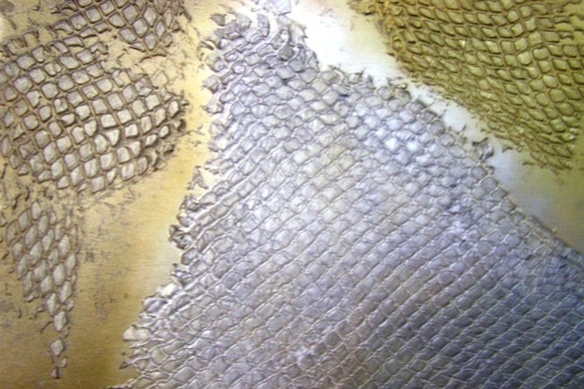 639x426 Paint Talk - Painting Fish Scales