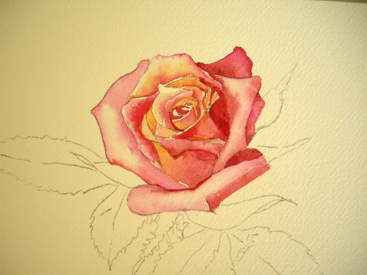 750x563 How To Paint A Rose Step No. 2 Debbie Waldorf Johnson - Painting Flower Petals
