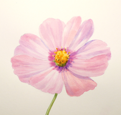 500x475 Paint Draw Paint, Learn To Draw Water Color Basics A Cosmos Flower - Painting Flower Petals