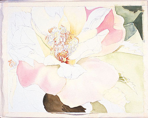 500x398 Watercolor Painting Demonstration Painting Petals - Painting Flower Petals