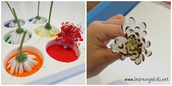 600x300 Flower Printing Learning 4 Kids - Painting For 2 Year Olds