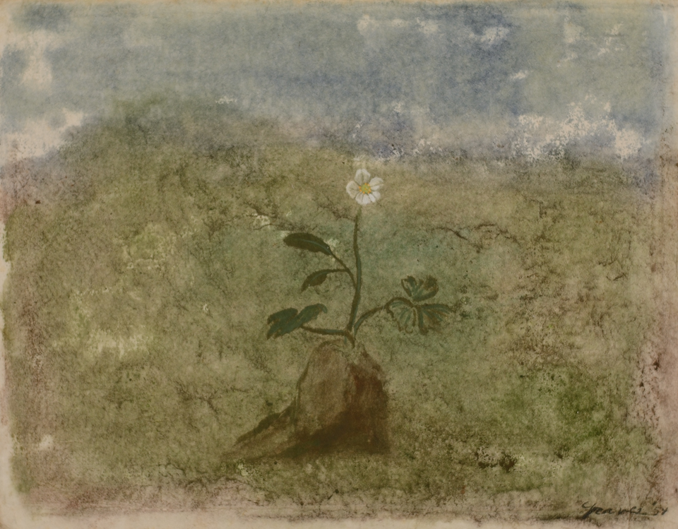 960x749 Morris Graves Painting Winter Flower Ireland Caldwell Gallery Hudson - Painting For Graves