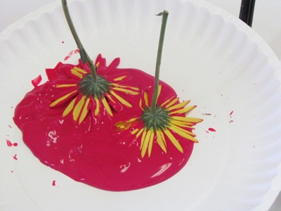 400x300 Flower Paintingprintmaking Lesson Plan Painting For Kids - Painting For Kids Com