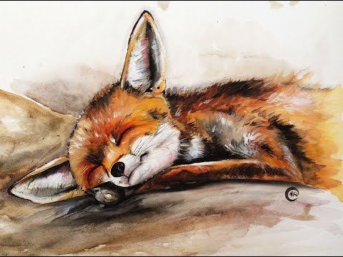 480x360 Watercolor Baby Fox Painting Full Video Demonstration - Painting Fox