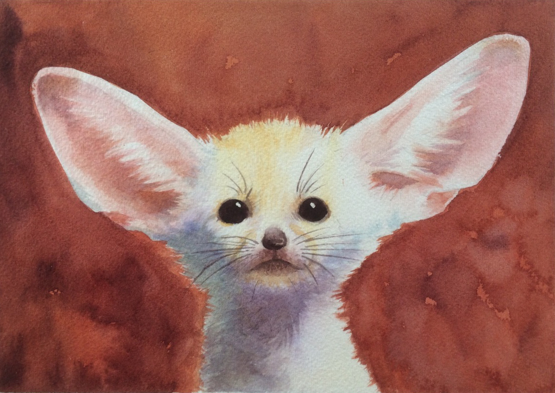 1125x797 White Fox - Painting Fox