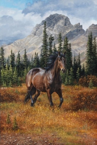 333x500 Kim Penner Horse Art - Painting Freedom Stallion