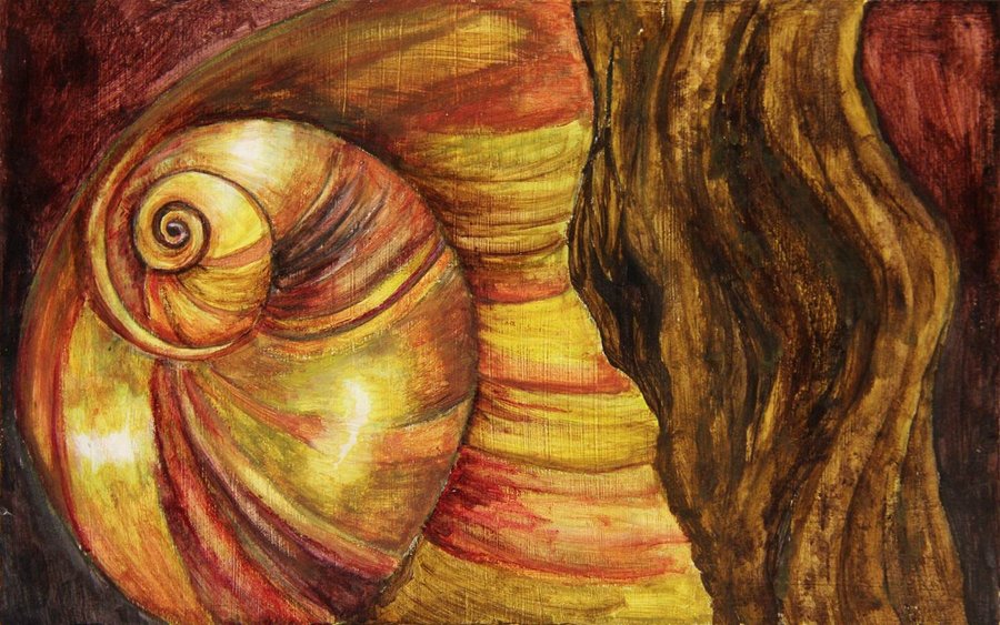 900x563 Shell (Painting From Nature Triptych) By Morgan113 - Painting From Nature