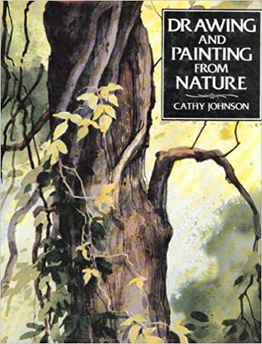 380x499 Drawing And Painting From Nature Cathy Johnson 9780830655021 - Painting From Nature Com