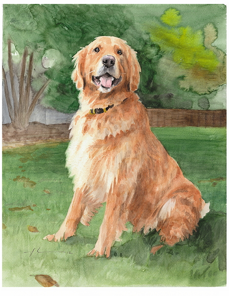 464x600 Golden Retriever Watercolor By Mike Theuer Daler Rowney - Painting Golden Retrievers