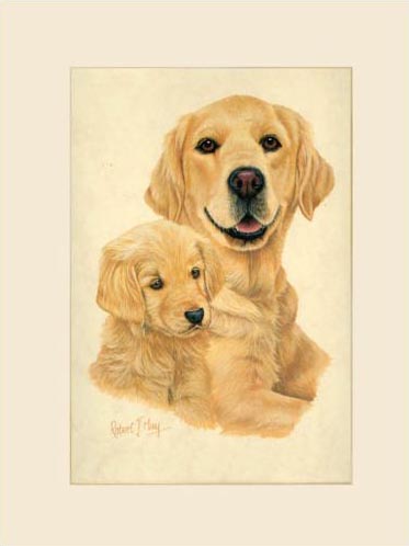 373x498 Original Golden Retriever Amp Pup Painting - Painting Golden Retrievers