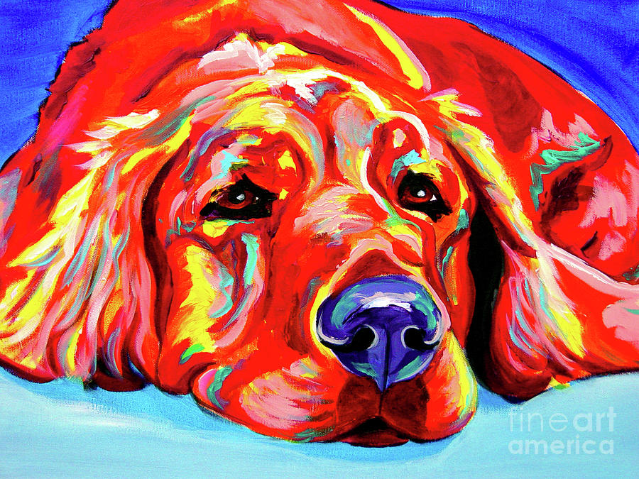900x675 Golden Retriever - Painting Golden Retrievers