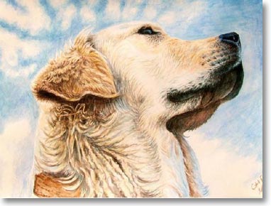 382x290 Golden Retriever Art Prints, Posters, And Paintings - Painting Golden Retrievers