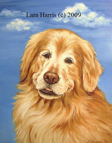 390x500 Painting 8, Mosby, The Golden Retriever Painting In Oil - Painting Goldens