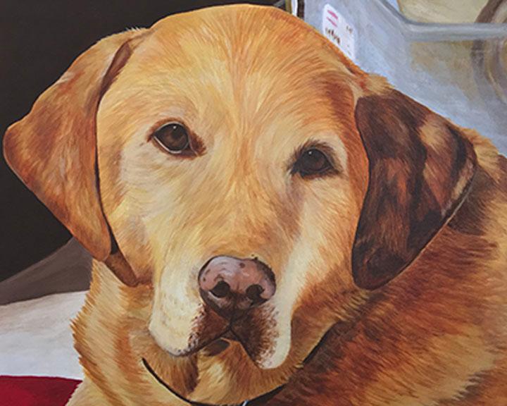 720x576 Painting Golden Retrievers Walworth Ny - Painting Goldens