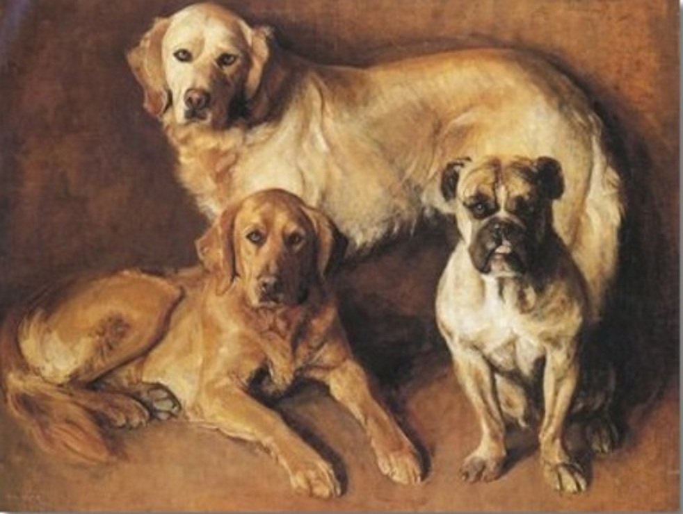 982x740 Unknown Painting Of Whatppear To Be Two Golden Retrieversnd - Painting Goldens