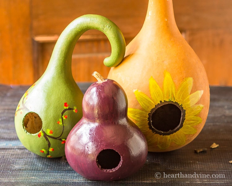 750x602 Painting Gourds For Color Amp Whimsy To Your Fall Decor - Painting Gourds