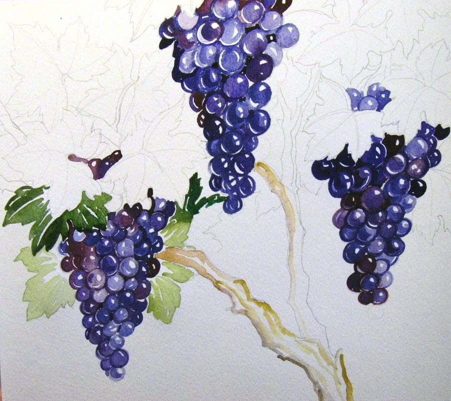 900x799 Grape Painting Tutorial 4 By Houseofchabrier - Painting Grape