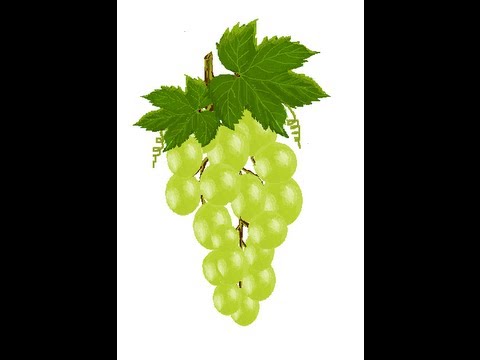 480x360 Ms Paint - Painting Grape Leaves