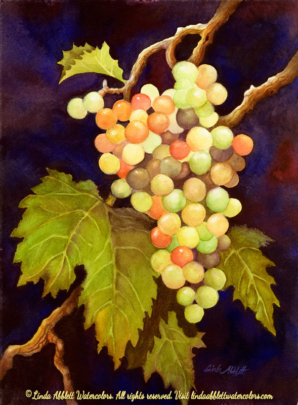 589x800 On The Vine - Painting Grape Leaves