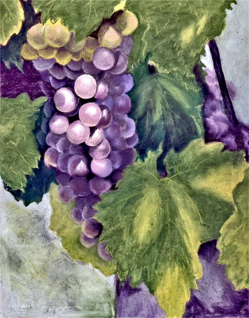 500x638 The Vineyard Grapes - Painting Grape Leaves