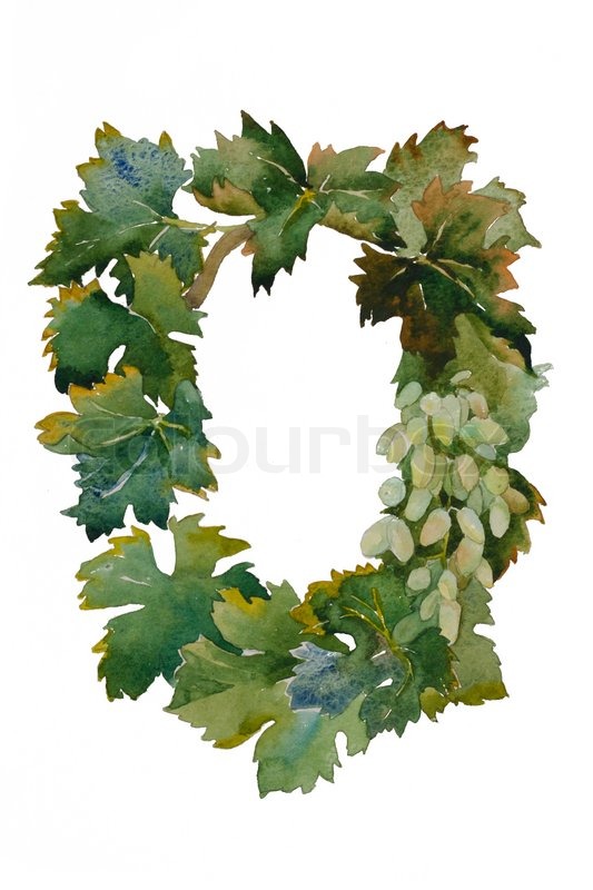 533x800 Vine Grape Frame From Leaves And Fruits Watercolor Painting - Painting Grape Leaves