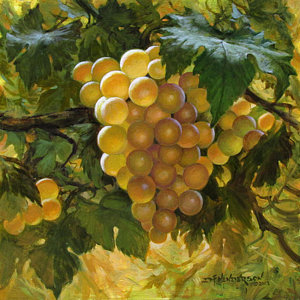 300x300 Vineyard Vines Paintings - Painting Grape Leaves