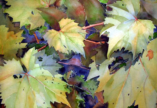 500x346 Grape Leaves [Archive] - Painting Grape Leaves