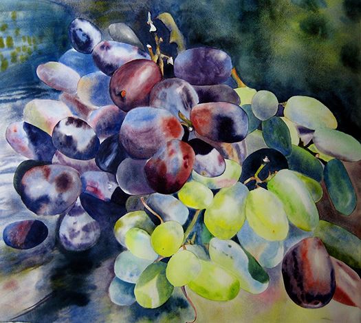525x469 Green And Red Grapes Palette Of Colors - Painting Grapes In Watercolor