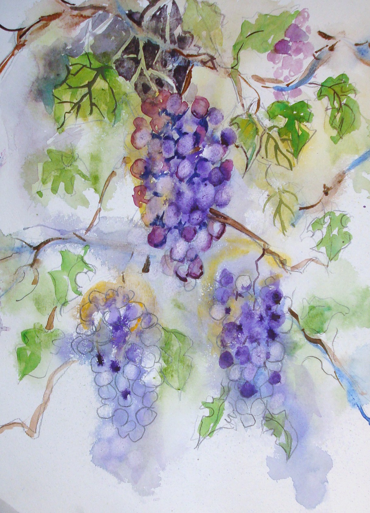 1220x1688 How To Negative Paint Grapes In Watercolor (With Pictures) - Painting Grapes In Watercolor