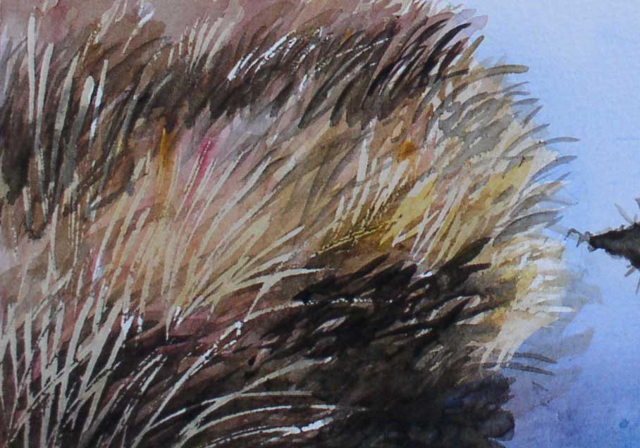 908x636 My French Easel Painting Grass In Watercolour - Painting Grass In Watercolor