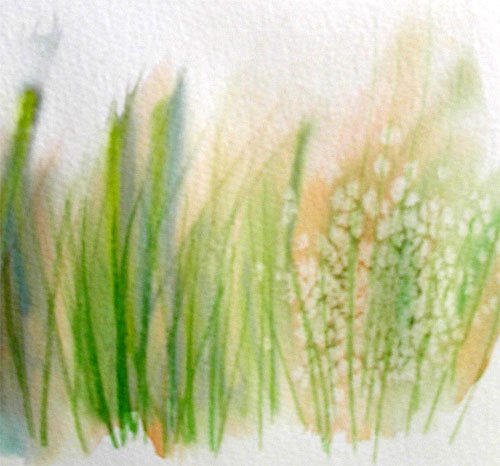 500x466 Fagan Studio - Painting Grass In Watercolor