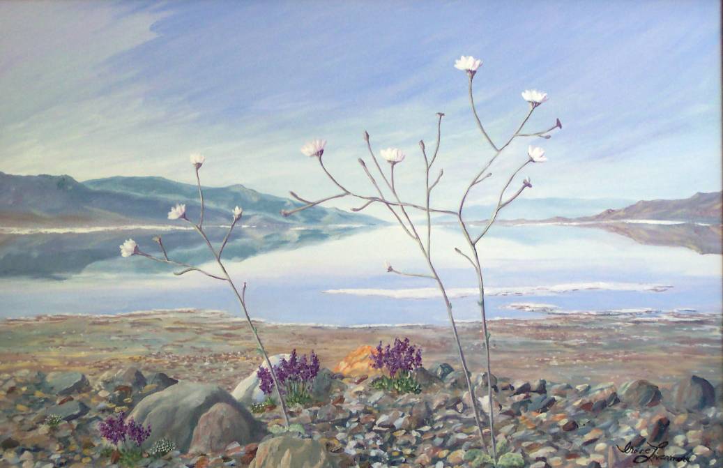 1037x671 Death Valley Gravel Ghost In Bloom Realist And 50 Similar Items - Painting Gravel