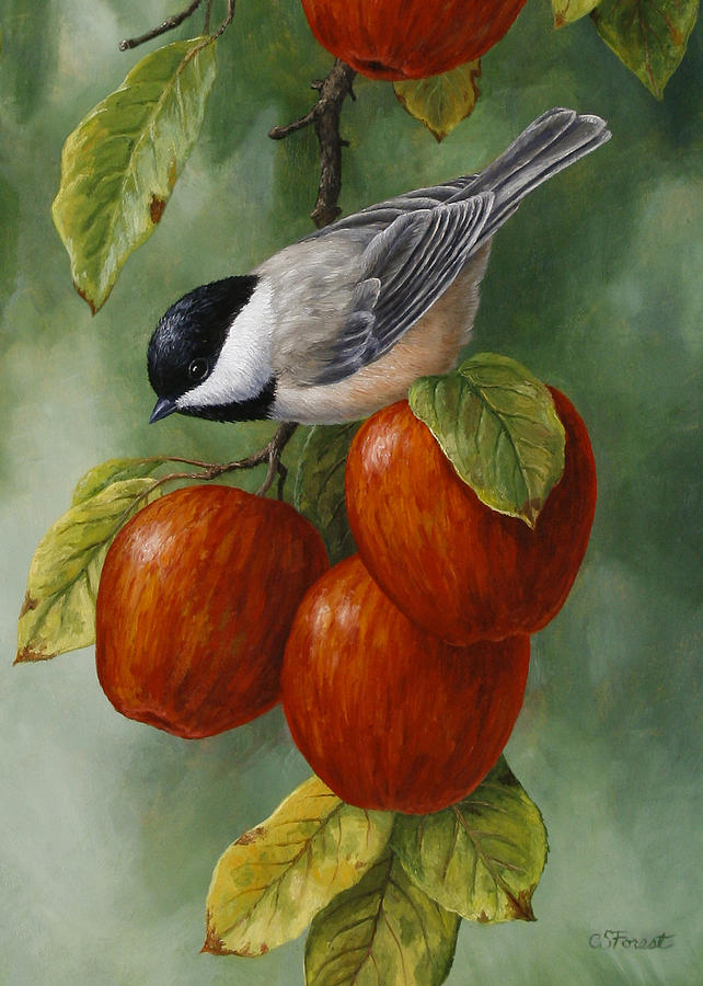 642x900 Painting Greeting Cards Apple Chickadee Greeting Card 3 Painting - Painting Greeting Cards