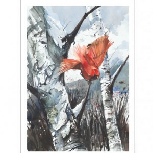 300x300 Original Watercolor Painting Of Cardinal By Bruce Davidson Bruce - Painting Greeting Cards In Watercolor