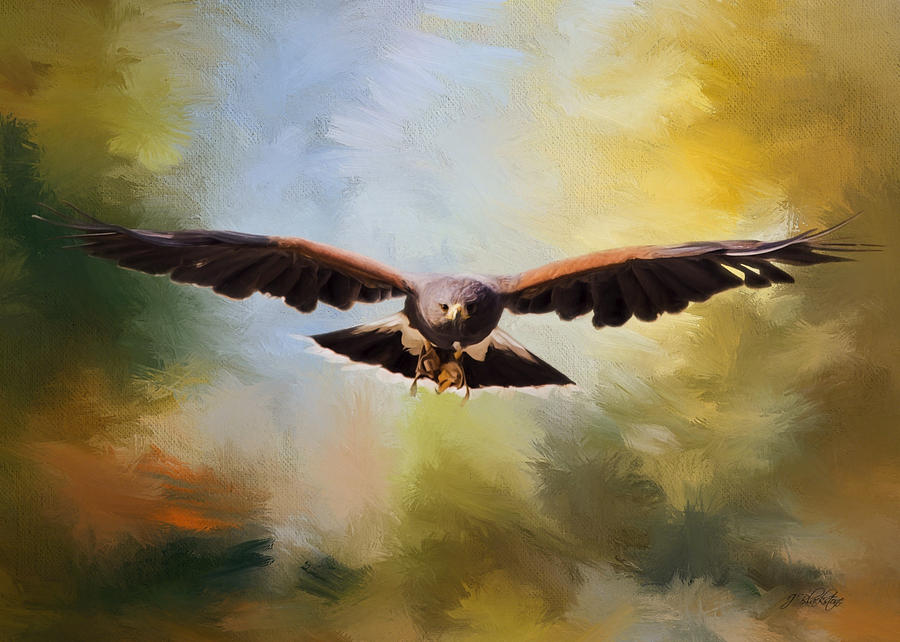 900x642 Maybe - Painting Hawk