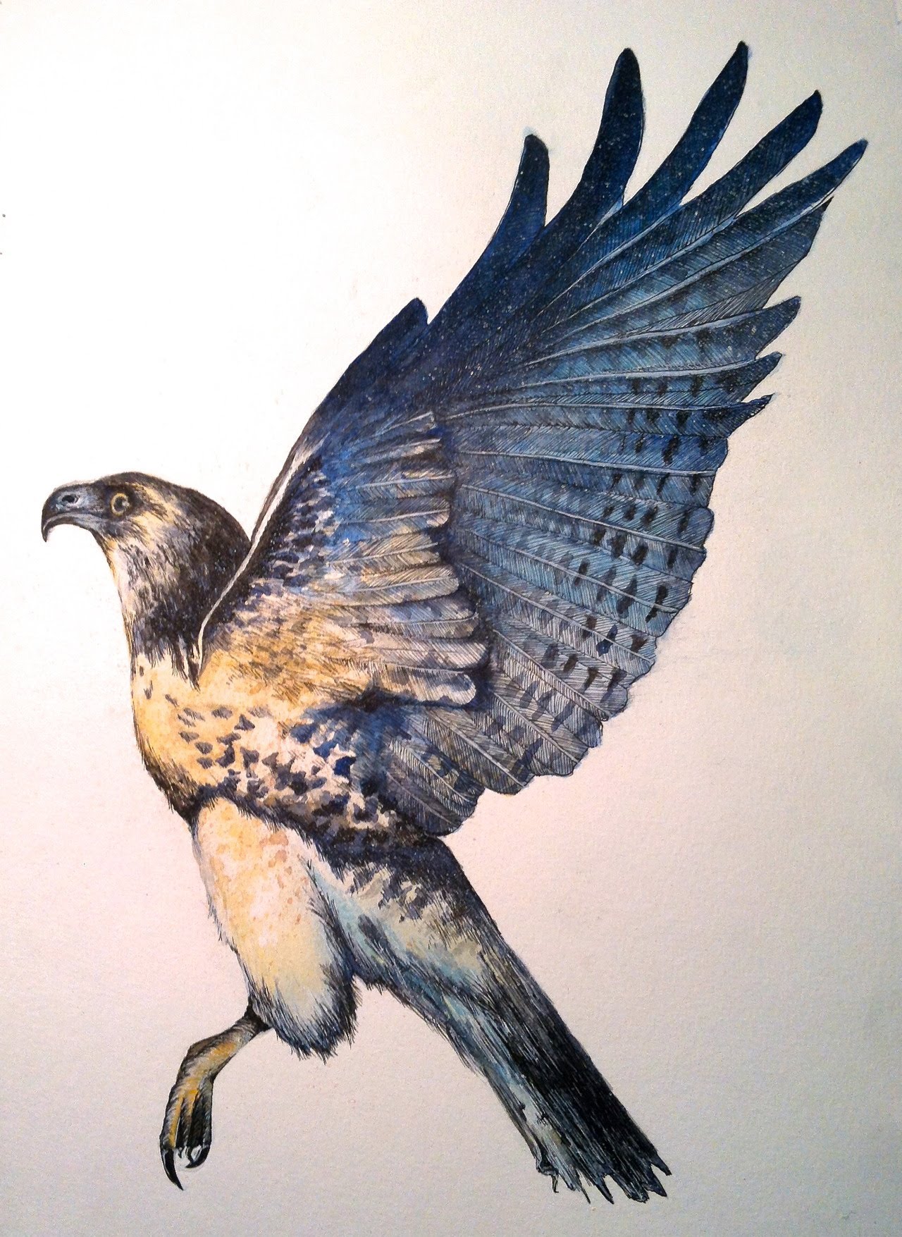 1280x1755 Speed Painting Watercolour - Painting Hawk