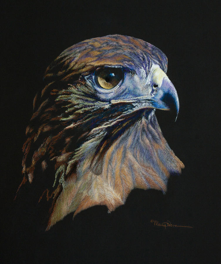 753x900 Majestic Raptor Red Tail Hawk Painting By Mary Dove - Painting Hawk