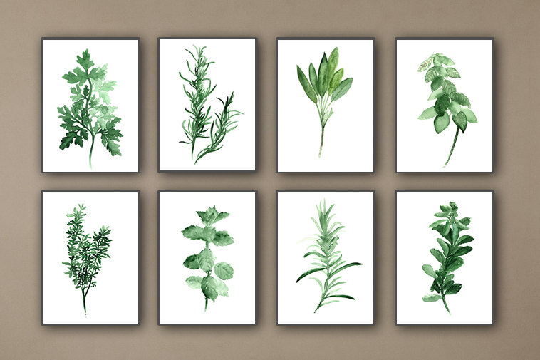 758x505 Kitchen Herbs Art Prints Set Of 8 Green Botanical Herbalist - Painting Herbs