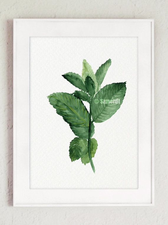 570x760 Mint Watercolor Painting Herbs Poster Green By Colorwatercolor - Painting Herbs