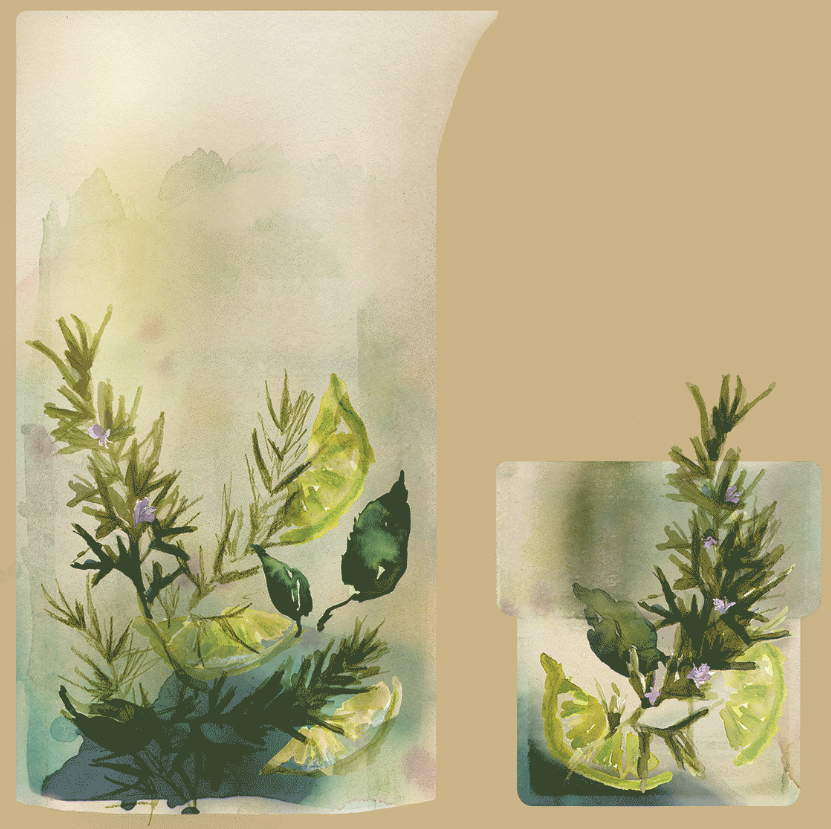 831x829 Summer Coolers How To Paint With Herbs, Fruit And Vegetables - Painting Herbs