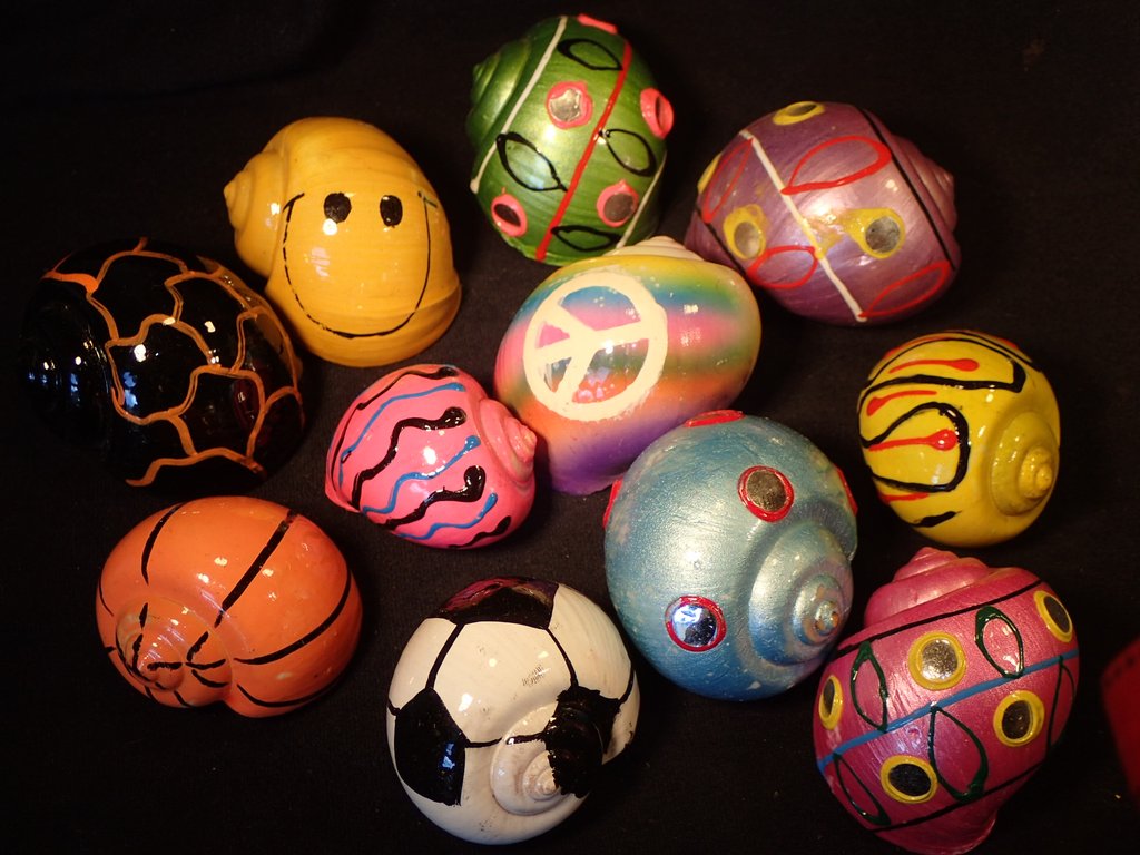 1024x768 Hermit Crab Shells - Painting Hermit Crab Shells