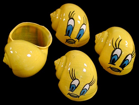 550x416 Hermit Crab Shells Painted - Painting Hermit Crab Shells