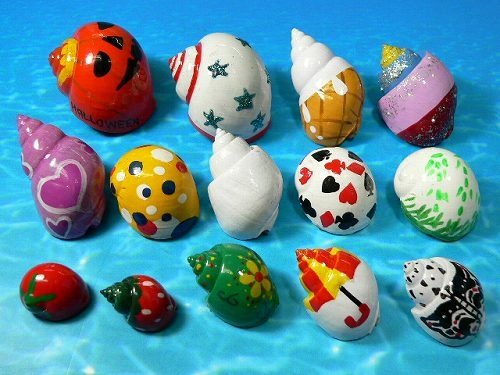 500x375 Hermit Crabs Painted Shells - Painting Hermit Crab Shells