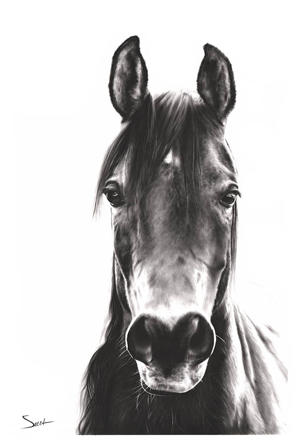 600x900 Horse Dry Brush Painting Print Watercolor Animal Paintings - Painting Horse