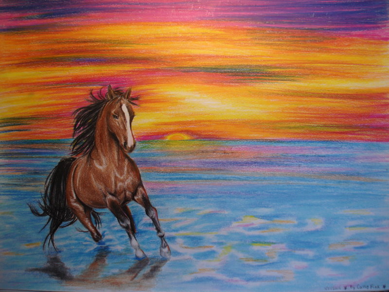 800x600 Horse In Dream Colors By Calliefink - Painting Horse Colors